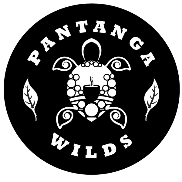 Pantanga Wilds Tea Co 